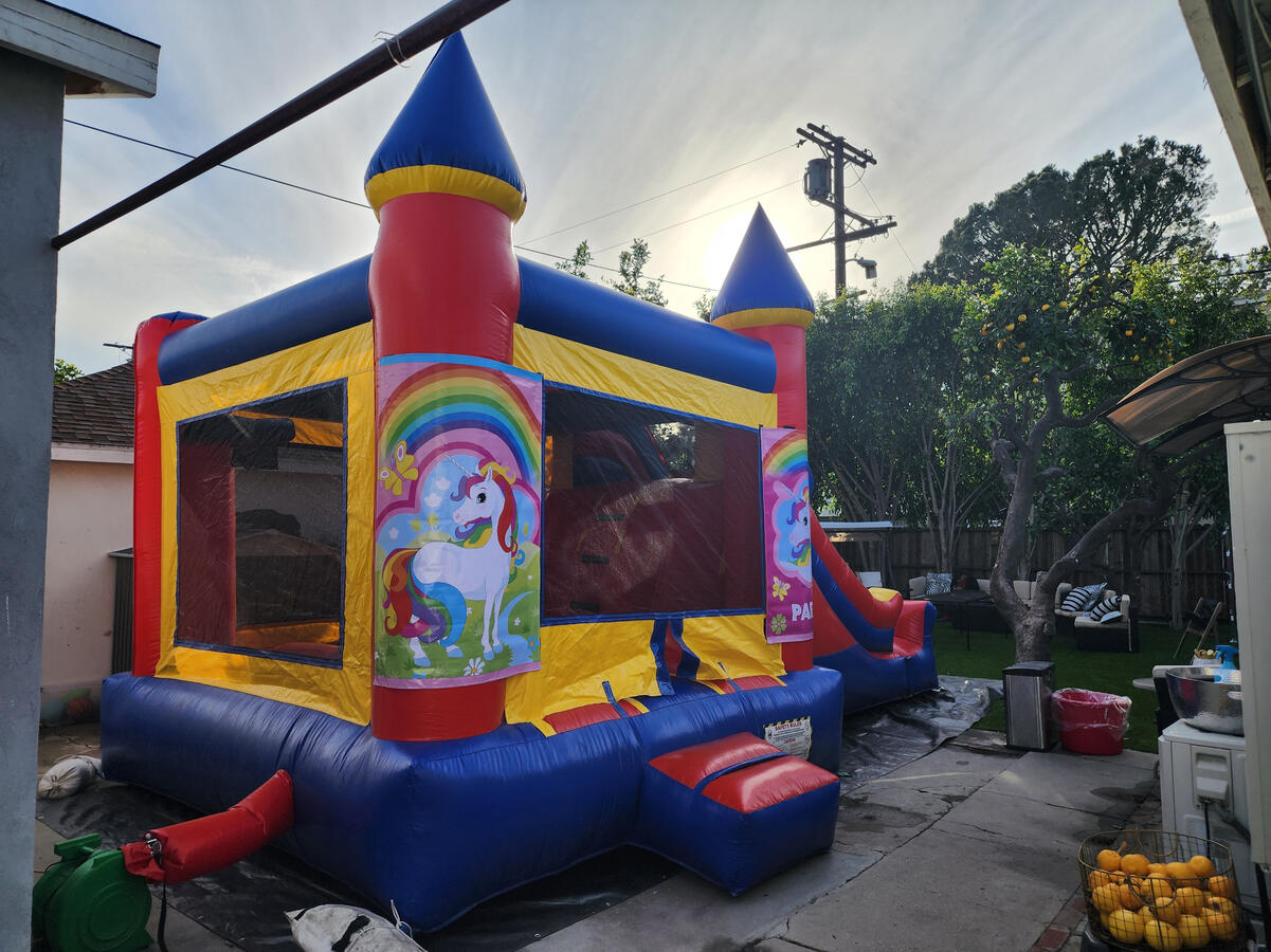• Themed Bouncy Houses